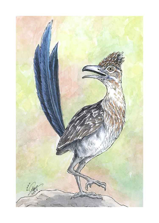 Roadrunner - Art Print