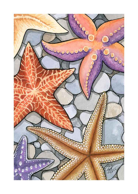Starfish - Art Print