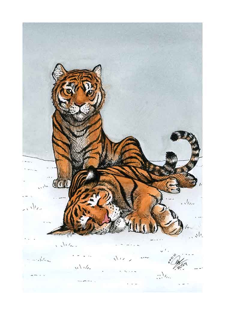 Tigers - Art Print
