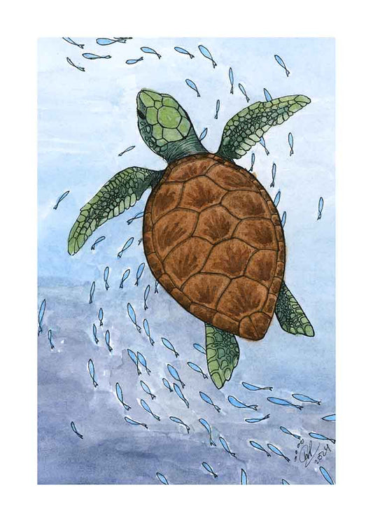 Sea Turtle - Art Print