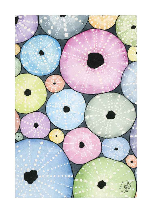 Sea Urchins - Art Print